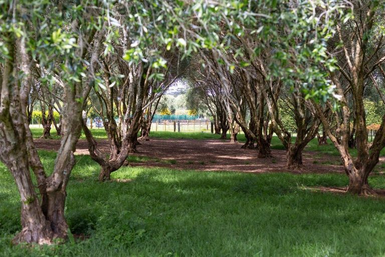 Photo of property in 9 Meadow Lane, Pakaraka, Kaikohe, 0472