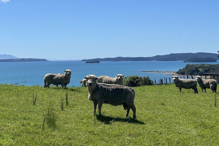 Photo of property in 599 Mahurangi East Road, Algies Bay, Warkworth, 0920