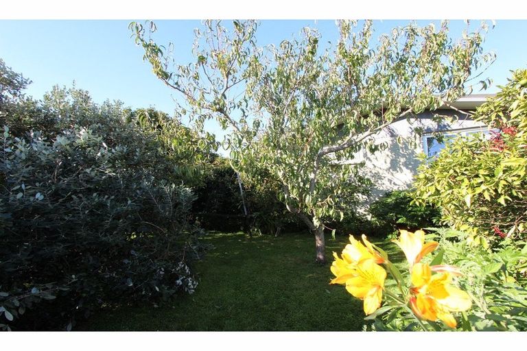 Photo of property in 21 Shirtliff Street, Riversdale, Blenheim, 7201