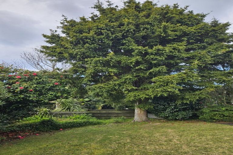 Photo of property in 112 Weatherly Road, Torbay, Auckland, 0630