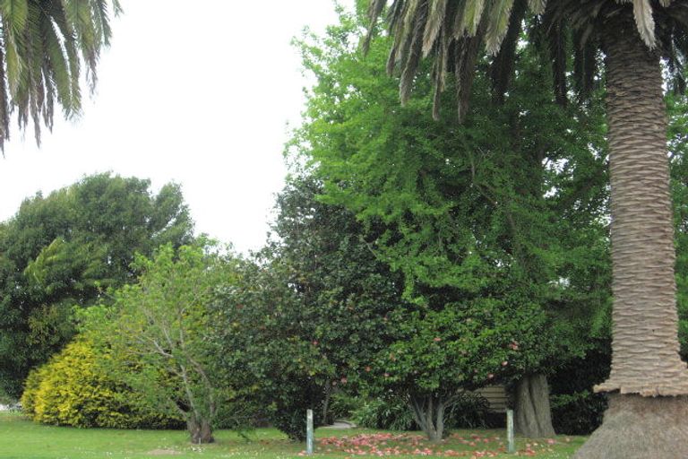 Photo of property in 36 Stewart Street, Opotiki, 3122