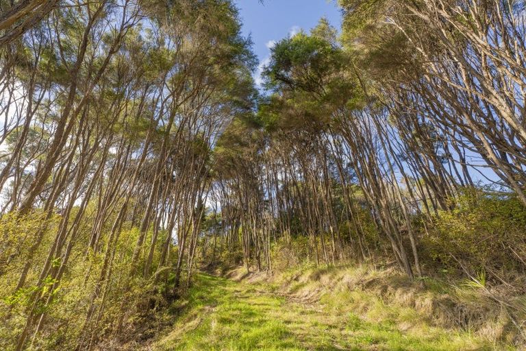 Photo of property in 70e Centennial Drive, Whitianga, 3510