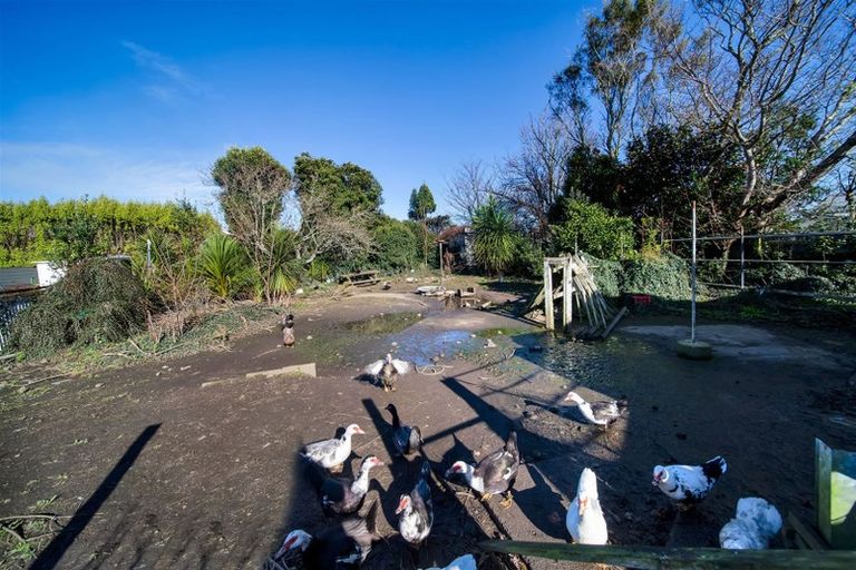 Photo of property in 15 Clifford Street, Hawera, 4610