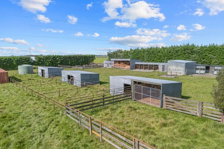 Photo of property in 146 Chatmos Road, Willowby, Ashburton, 7773