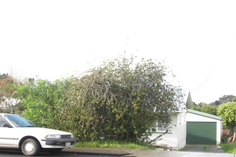 Photo of property in 19 Halver Road, Hillpark, Auckland, 2102