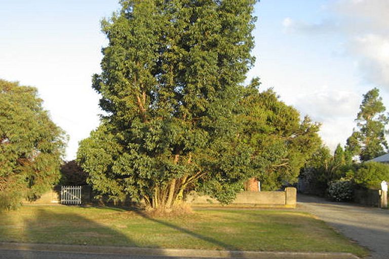 Photo of property in 6 Kimberley Road, Darfield, 7510