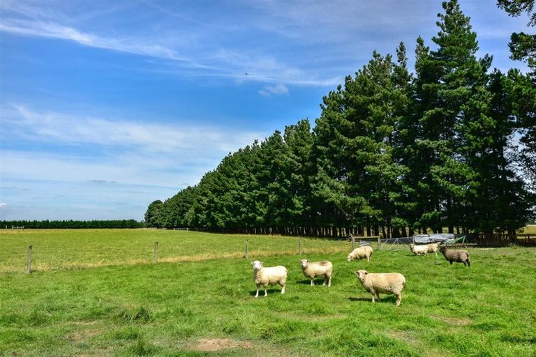 Photo of property in 1627 Tramway Road, Sheffield, Darfield, 7571