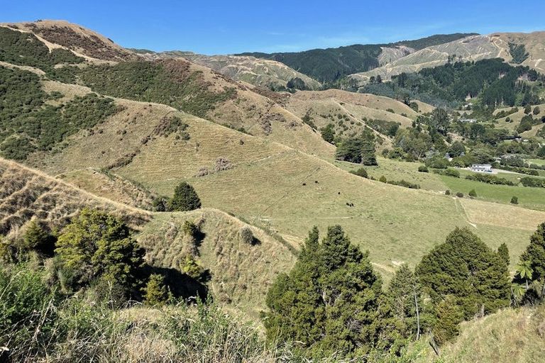 Photo of property in 61 Mickell Road, Hautere, Otaki, 5582