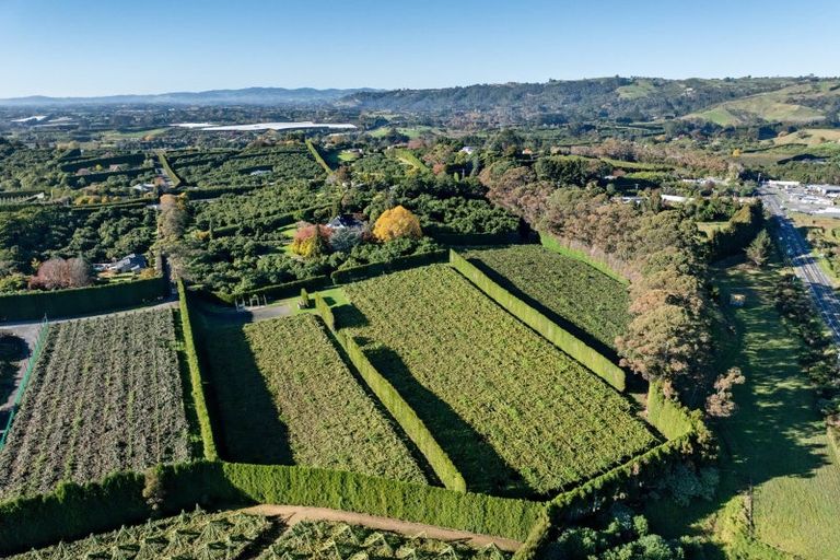 Photo of property in 47 Plummers Point Road, Whakamarama, Tauranga, 3172