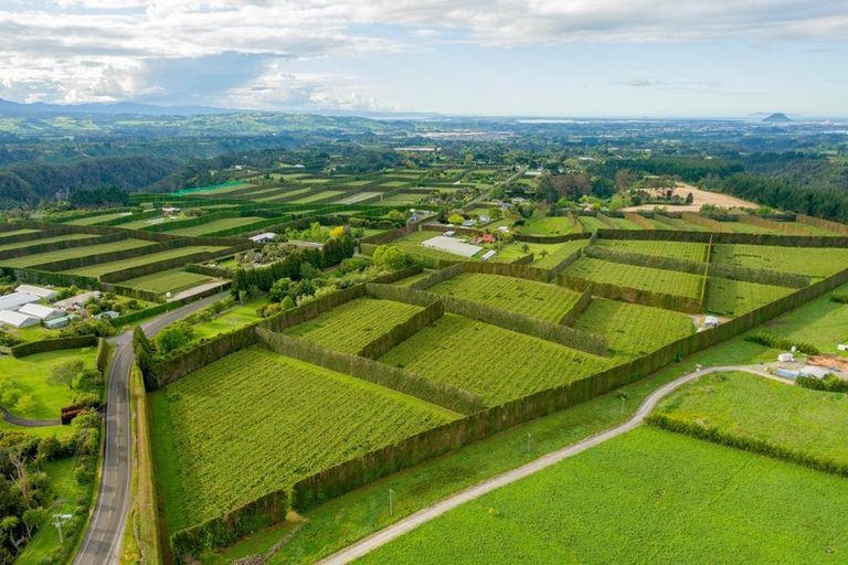 Photo of property in 837b Pyes Pa Road, Pyes Pa, Tauranga, 3173