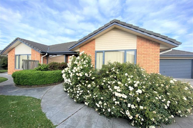Photo of property in 8 Amdale Avenue, Broomfield, Christchurch, 8042
