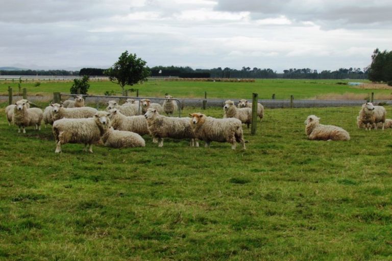 Photo of property in 9a Racecourse Road, Winton, 9782