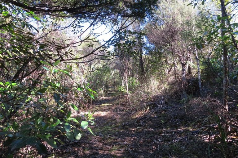 Photo of property in 473c Tuateawa Road, Tuateawa, Coromandel, 3583