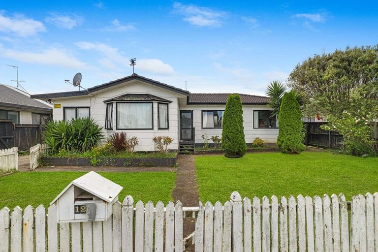 Photo of property in 127 Maplesden Drive, Clendon Park, Auckland, 2103