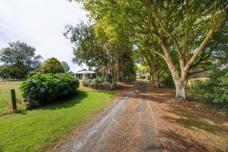 Photo of property in 44 Arnott Street, Maewa, Feilding, 4702