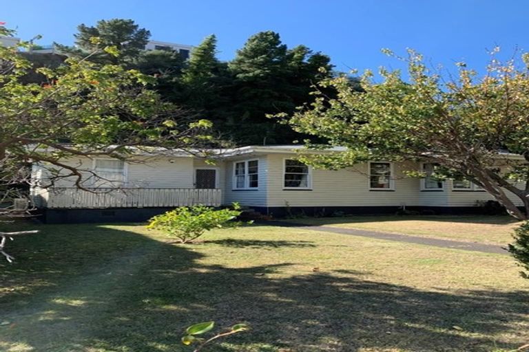Photo of property in 51 Burns Road, Hospital Hill, Napier, 4110