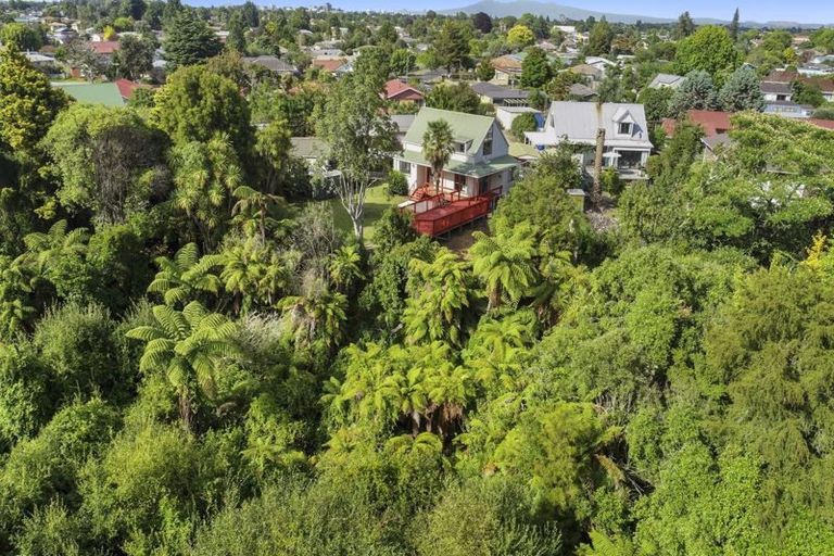 Photo of property in 45 Winstone Avenue, Chartwell, Hamilton, 3210