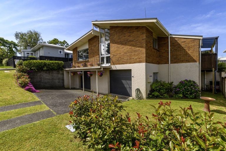 Photo of property in 203a Thirteenth Avenue, Tauranga South, Tauranga, 3112