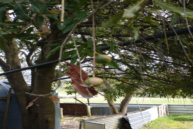 Photo of property in 109 Vinegar Hill Road, Kauri, Kamo, 0185