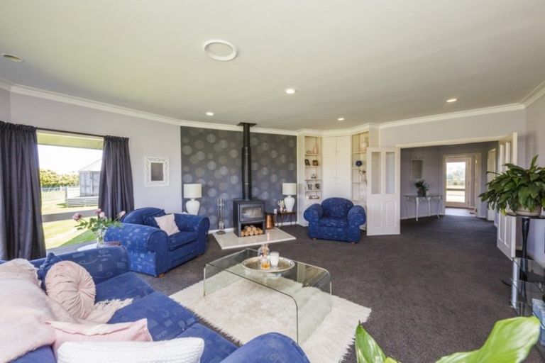 Photo of property in 117 Clevely Line, Bunnythorpe, Palmerston North, 4478