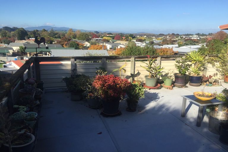 Photo of property in 162 Raikes Avenue, Te Awamutu, 3800