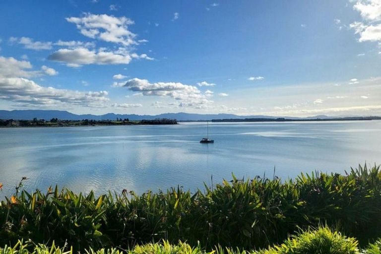 Photo of property in 23c Kings Avenue, Matua, Tauranga, 3110