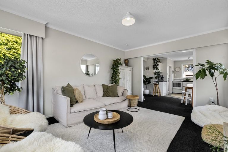 Photo of property in 14 Lodge Avenue, Mount Maunganui, 3116