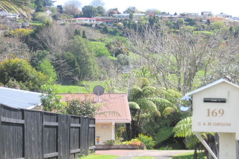 Photo of property in 169 Kingswood Road, Brookfield, Tauranga, 3110
