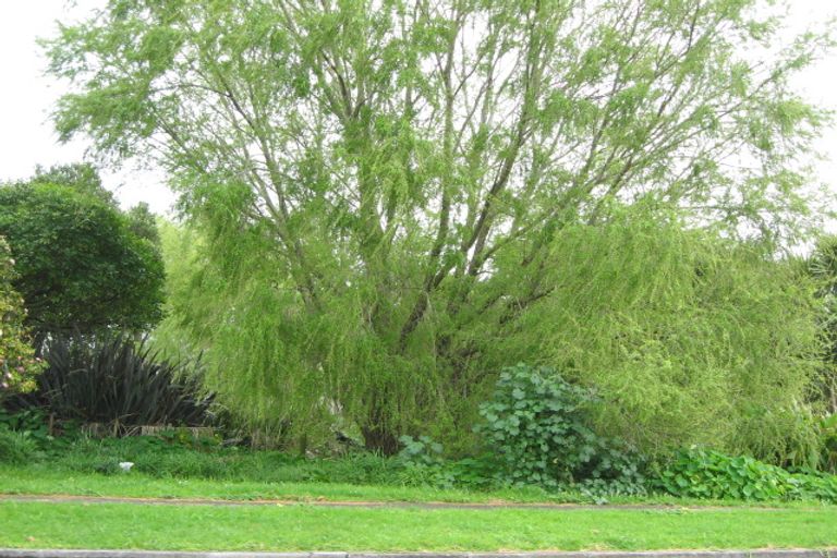 Photo of property in 125 Cracroft Street, Waitara, 4320