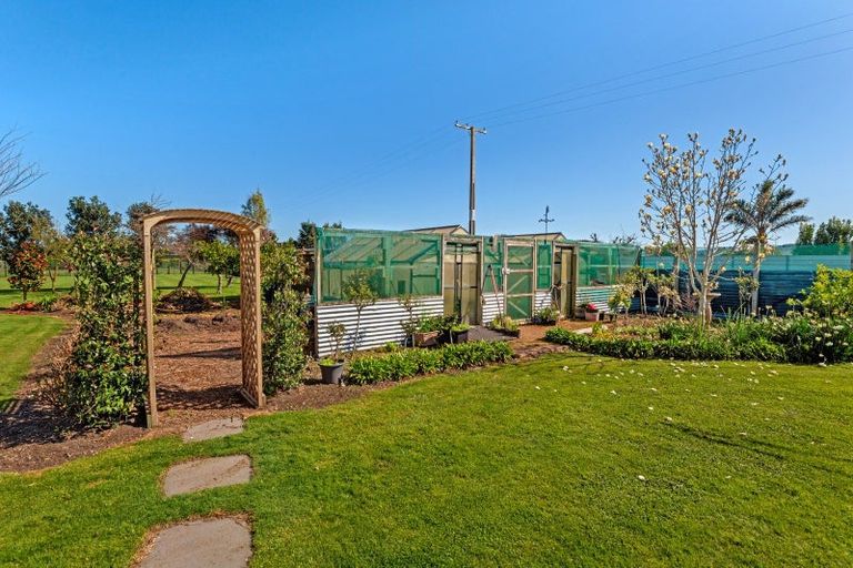 Photo of property in 26 Cameron Road, Makauri, Gisborne, 4071