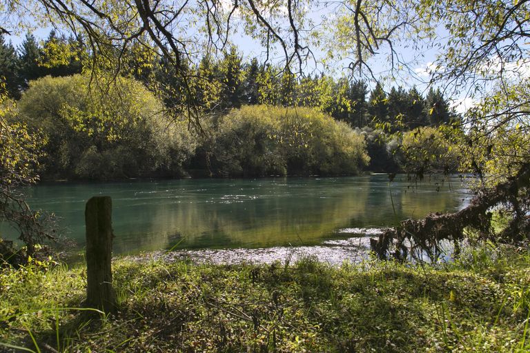 Photo of property in 1729 River Road, Broadlands, Reporoa, 3081