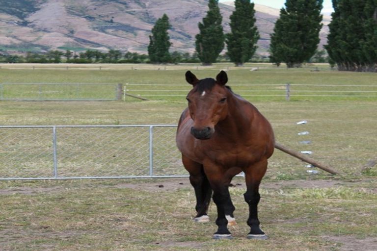 Photo of property in 40 Fay Lane, Queensberry, Cromwell, 9383