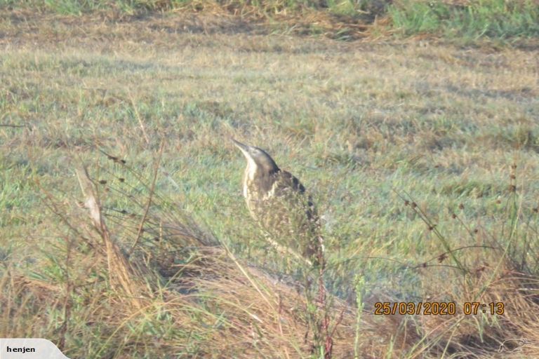 Photo of property in 1458 Ngunguru Road, Ngunguru, Whangarei, 0173