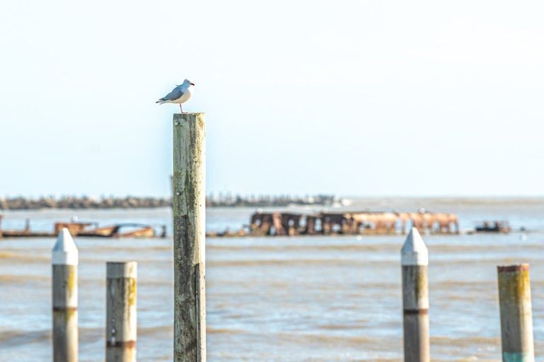 Photo of property in 2 Wharf Street, Castlecliff, Whanganui, 4501