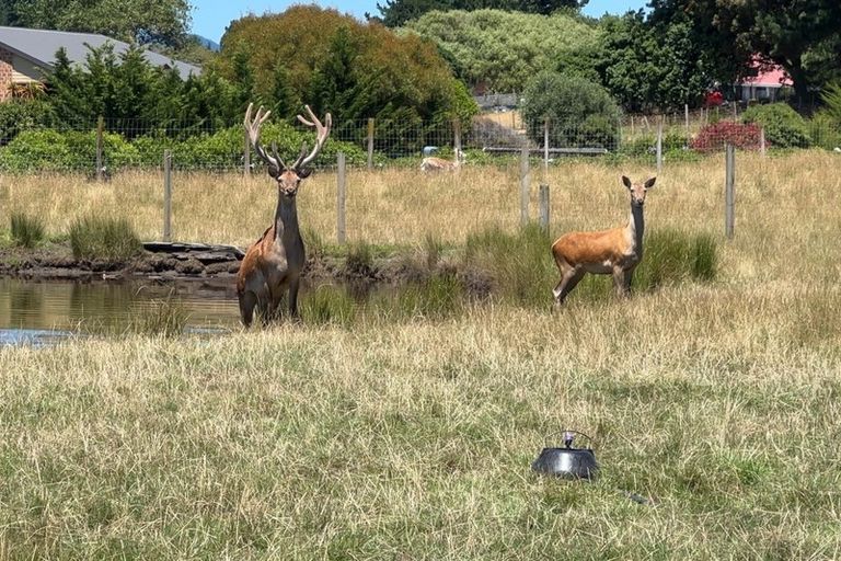 Photo of property in 27 Raukawa Road, Peka Peka, Waikanae, 5391