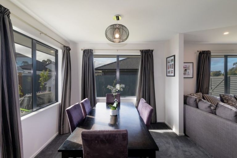 Photo of property in 43 Makawe Roa Street, Marshland, Christchurch, 8083