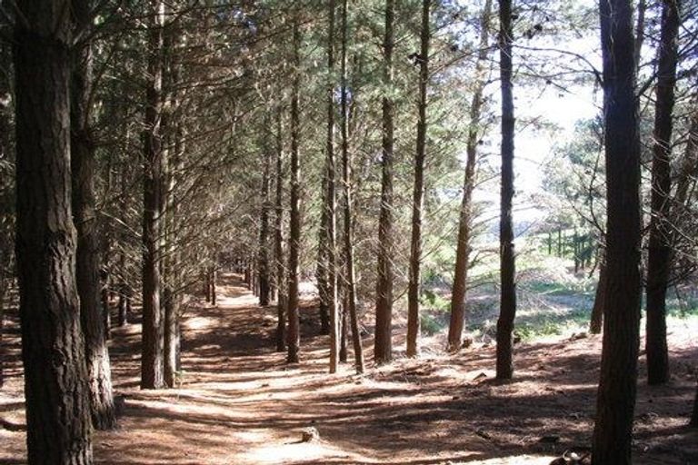 Photo of property in 4 Len Hale Place, Parklands, Christchurch, 8083