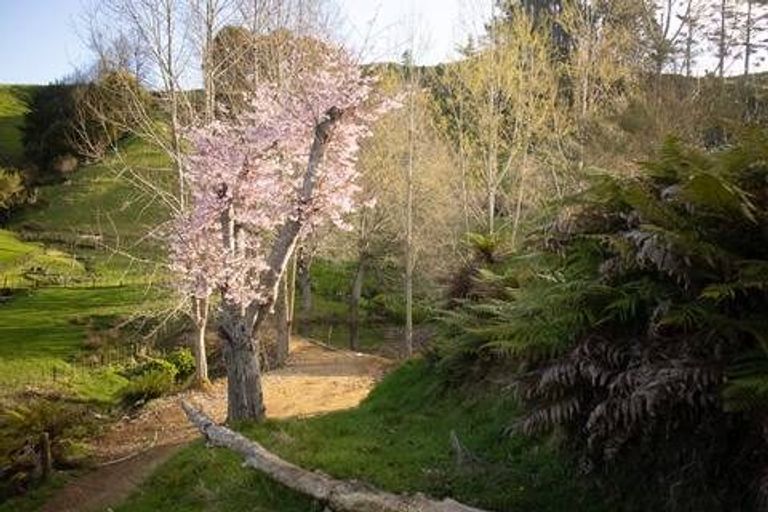 Photo of property in 822 Motukawa Road, Tarata, Inglewood, 4387