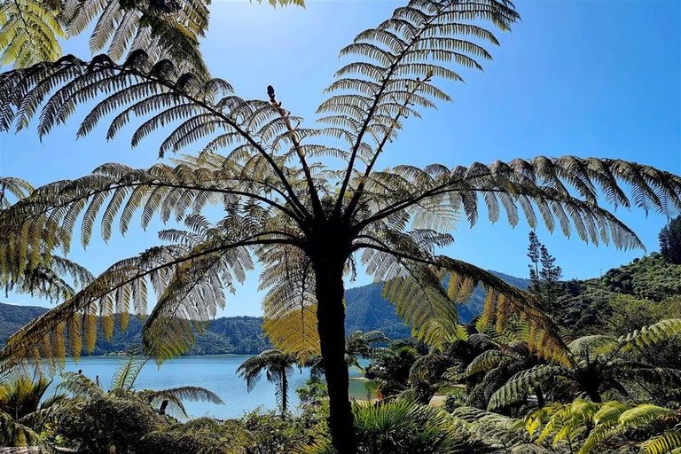 Photo of property in Willow Bay, Mahau Sound, Marlborough Sounds, 7282