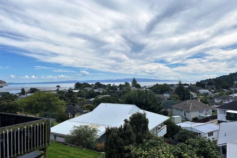 Photo of property in 117 Hauraki Terrace, Thames, 3500