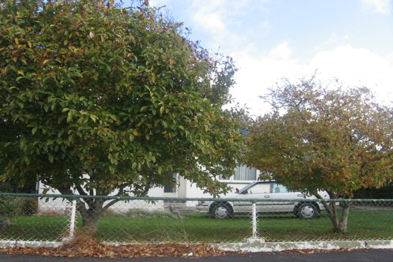 Photo of property in 56 Shamrock Street, Takaro, Palmerston North, 4412