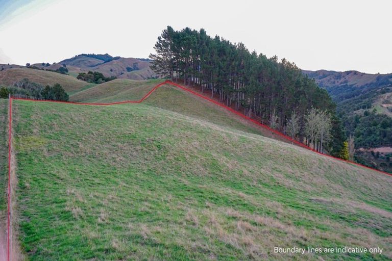 Photo of property in 169 Torehape Road, Kaihere, Ngatea, 3597