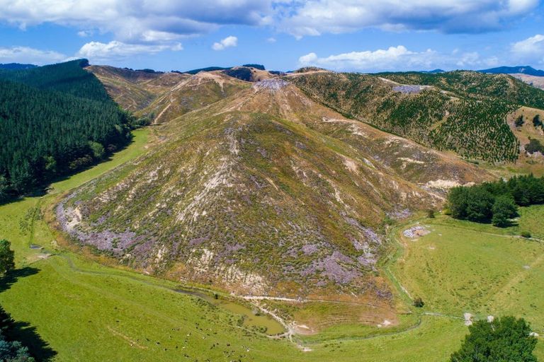 Photo of property in 3525 Masterton Castlepoint Road, Mangapakeha, Masterton, 5889