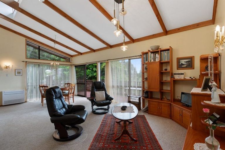 Photo of property in 887 Scenic Drive, Swanson, Henderson, 0781