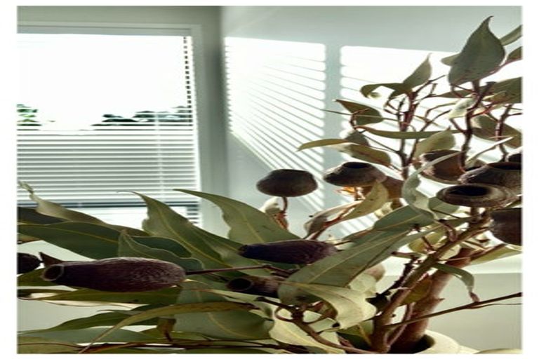 Photo of property in 37a Judea Road, Judea, Tauranga, 3110