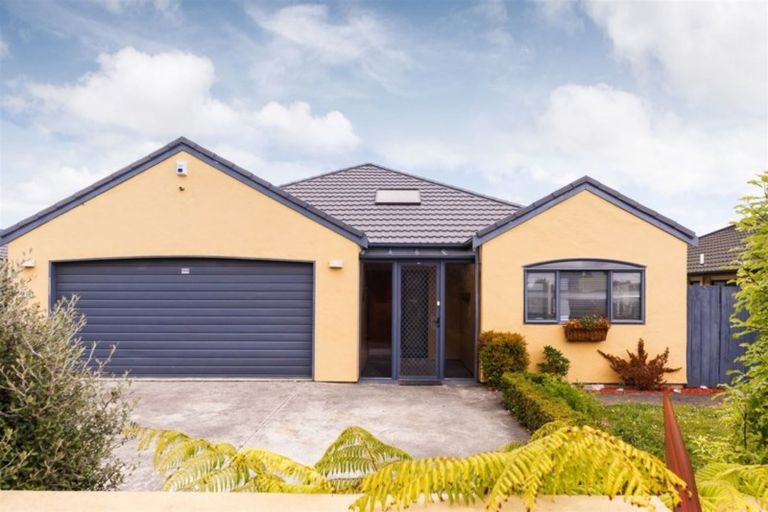 Photo of property in 162 Maxwells Line, Awapuni, Palmerston North, 4412