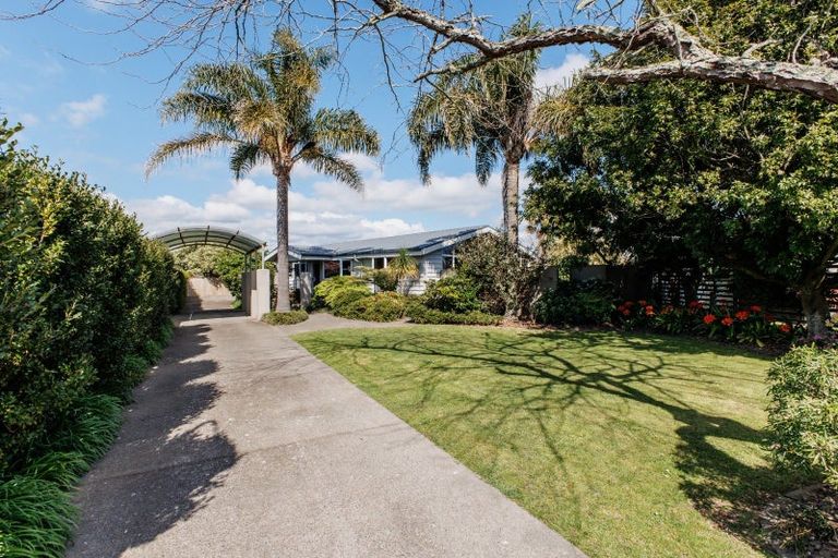 Photo of property in 12 Halberg Crescent, Whakatane, 3120