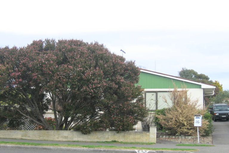 Photo of property in 16 Auckland Road, Greenmeadows, Napier, 4112