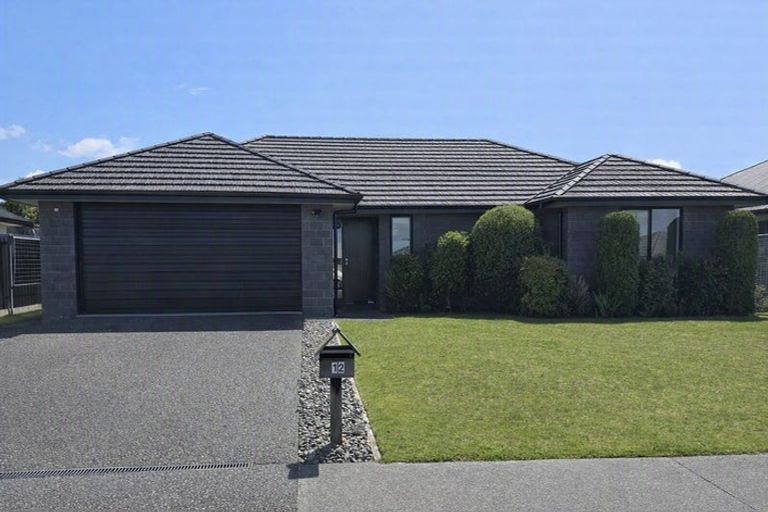 Photo of property in 12 Royal Coachman Drive, Nukuhau, Taupo, 3330