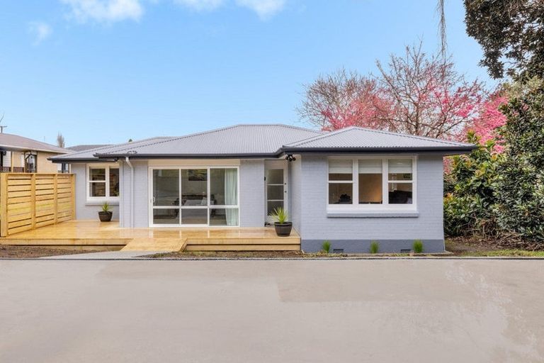 Photo of property in 8 Matthew Street, Gate Pa, Tauranga, 3112